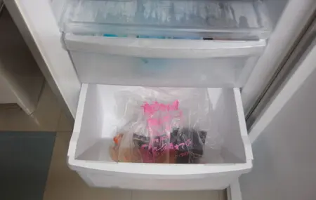 生ゴミ冷凍庫
